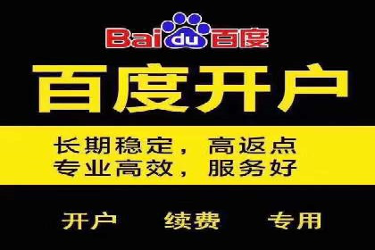 某知名品牌SEM运营策略及效果评估